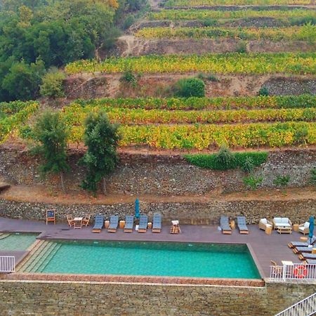 Quinta De Travassinhos- Douro Valley & Spa Santa Marta de Penaguião Exterior foto