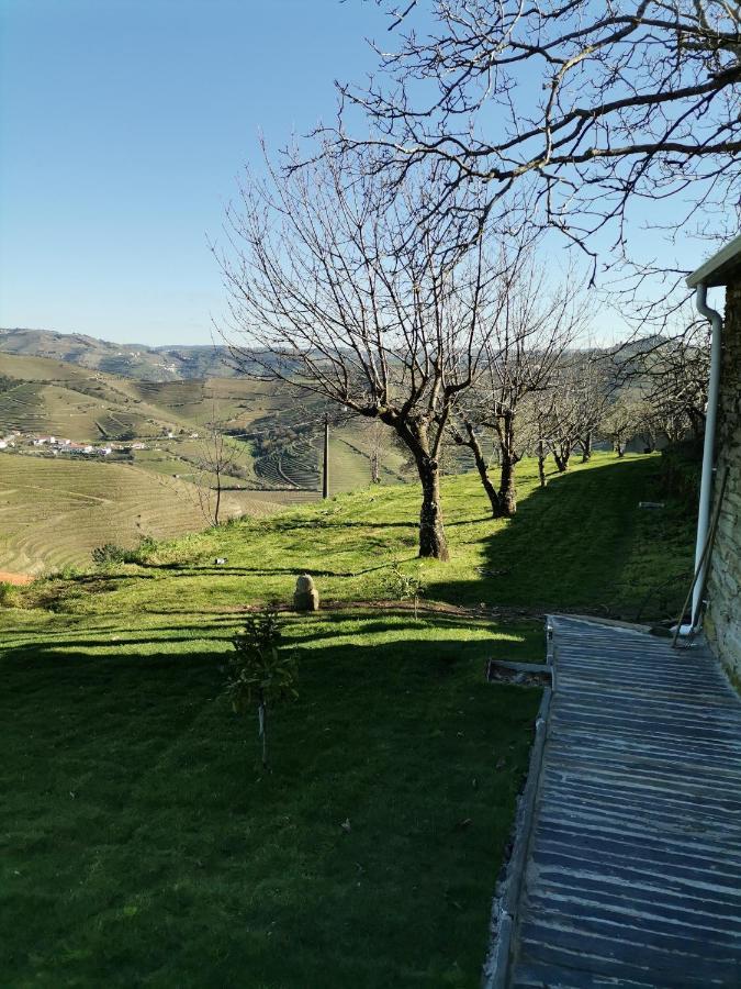 Quinta De Travassinhos- Douro Valley & Spa Santa Marta de Penaguião Exterior foto